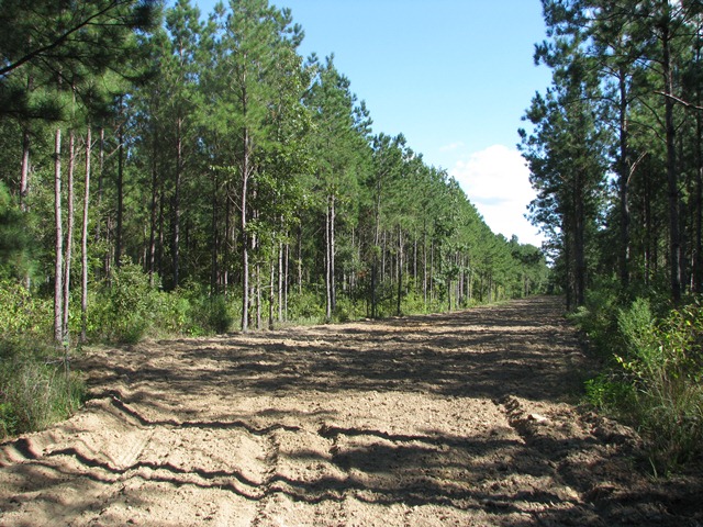 Hwy 28