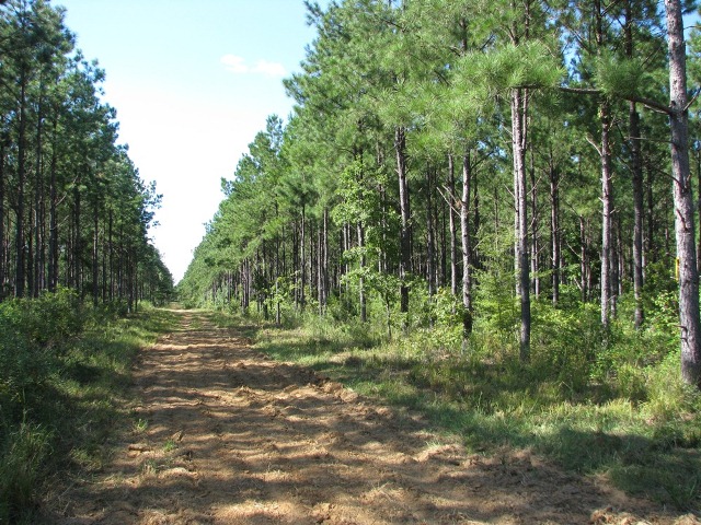 Hwy 28