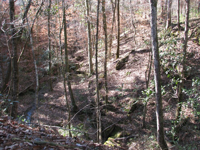 Hwy 41