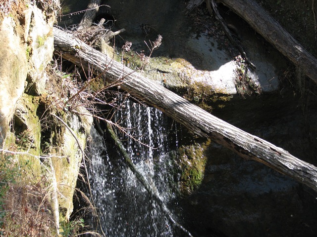 Hwy 41