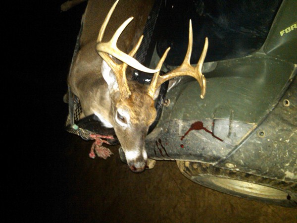 Co. Rd. 2, Wilcox Co., Al