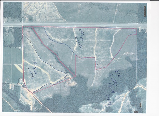 Hwy 113, Flomaton, Escambia County