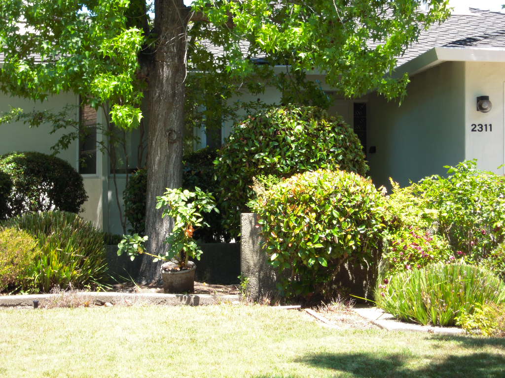 2311 Bryant Street