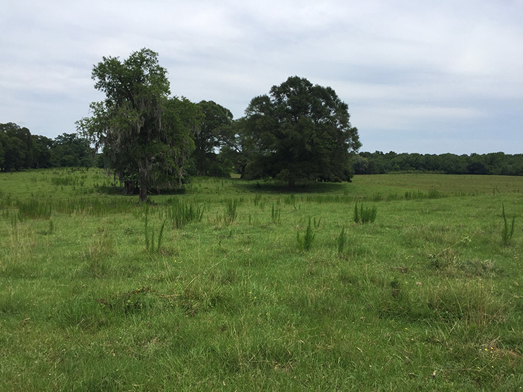 Montgomery County - 860 acres