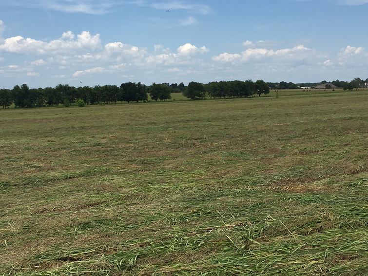 Montgomery County - 860 acres