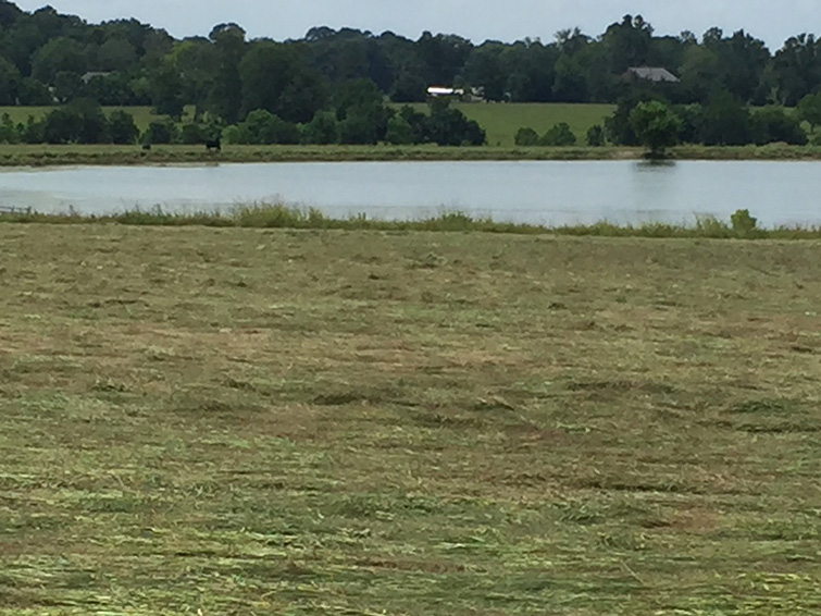 Montgomery County - 860 acres