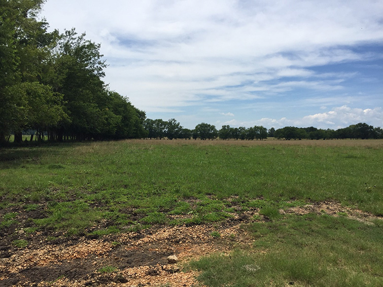 Montgomery County - 860 acres