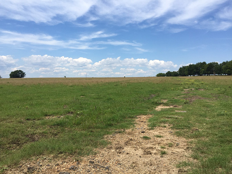 Montgomery County - 860 acres