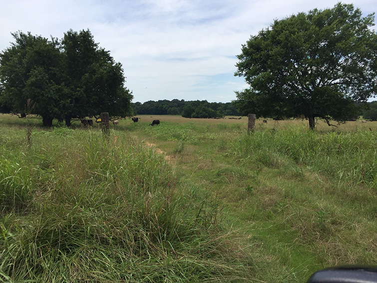 Montgomery County - 860 acres
