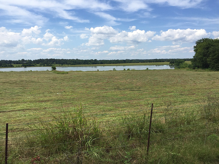 Montgomery County - 860 acres