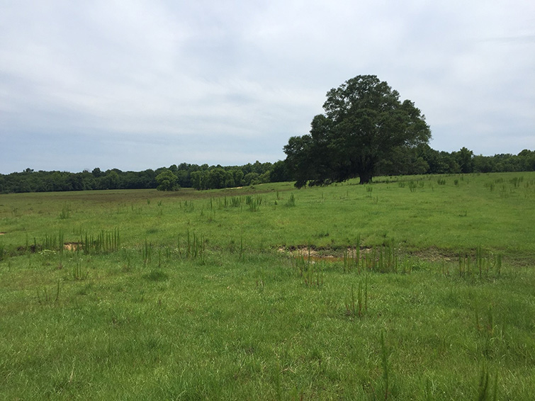 Montgomery County - 860 acres