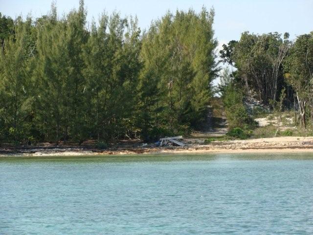 Great Cistern