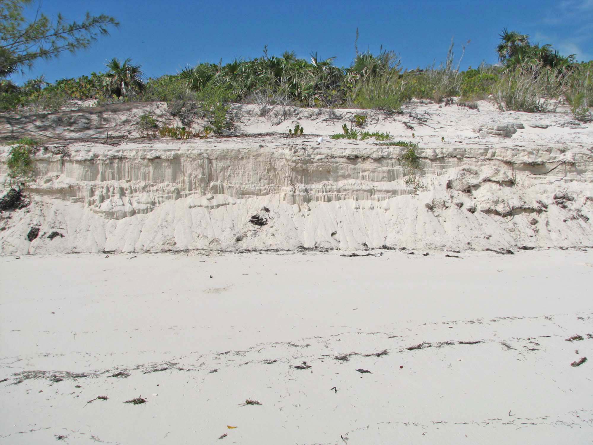 Ocean to Ocean beachfront Acreage