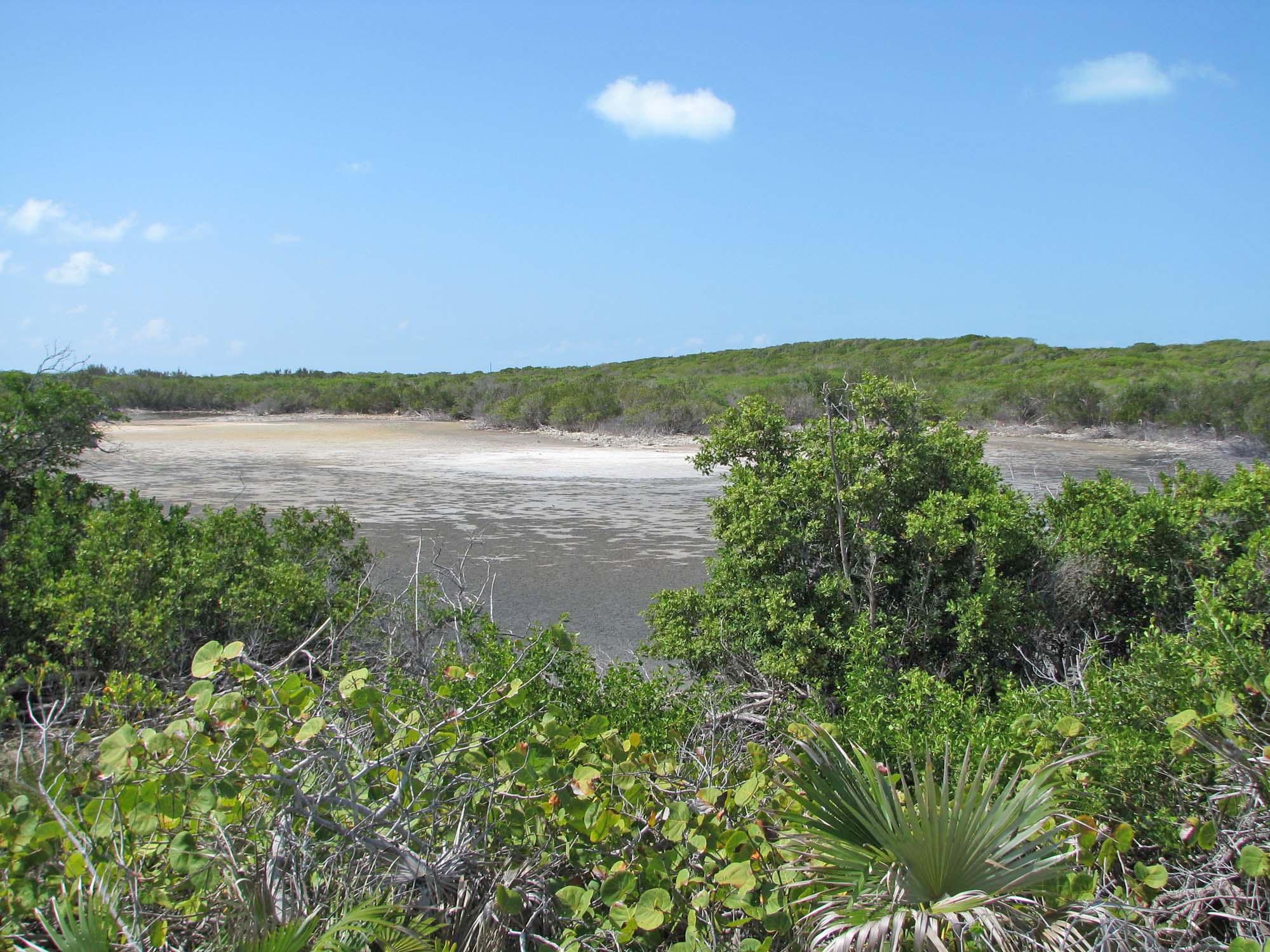 Ocean to Ocean beachfront Acreage
