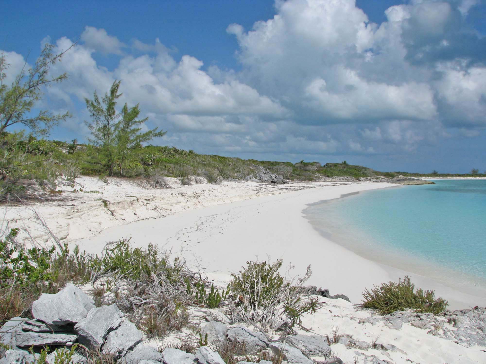 Ocean to Ocean beachfront Acreage