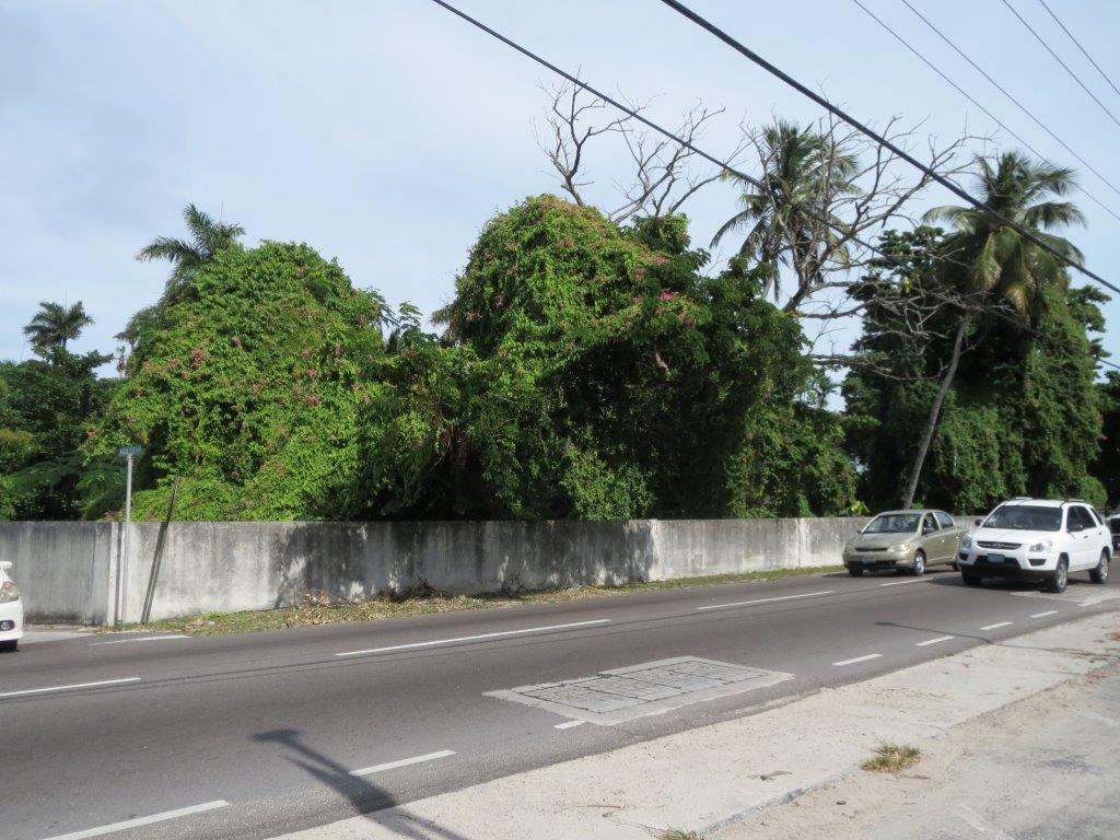 Shirley Street