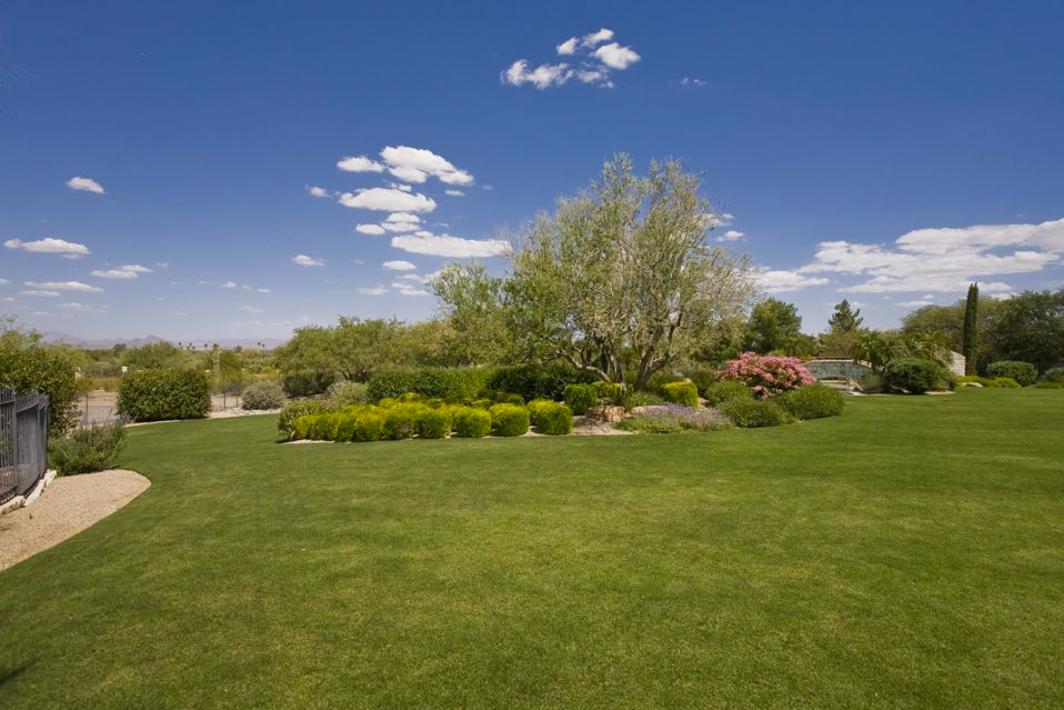 5540 North Saguaro