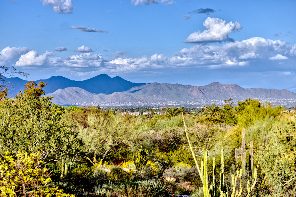 5660 N Saguaro Rd.