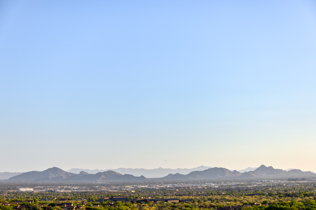 Silverleaf