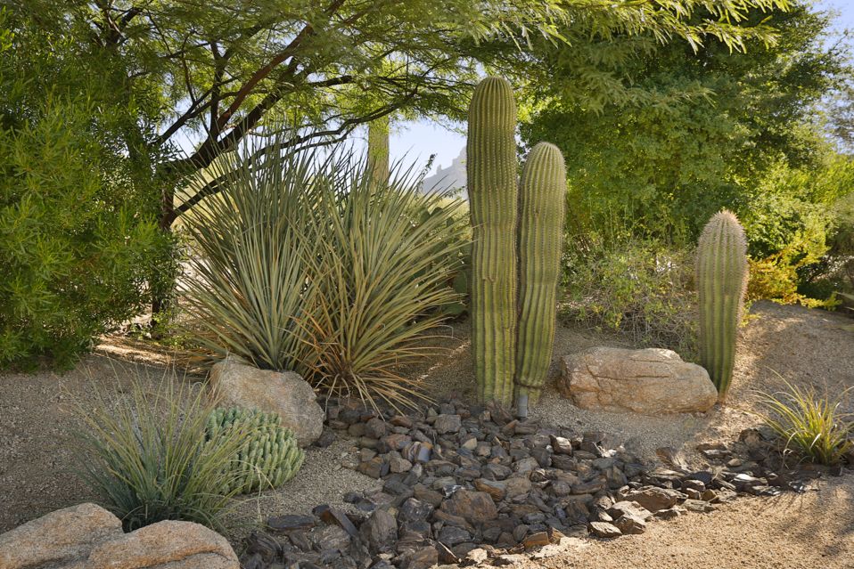 3801 E San Miguel