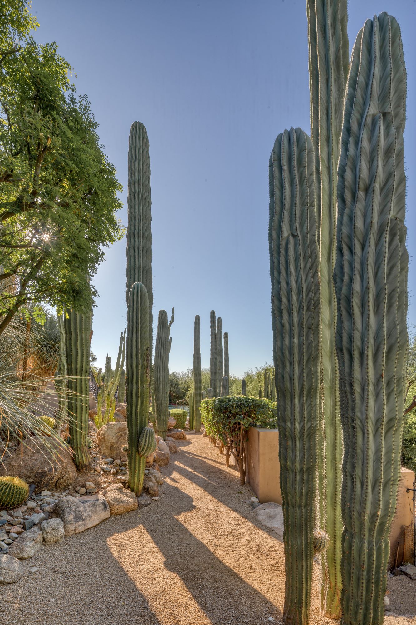 1 Private Listing