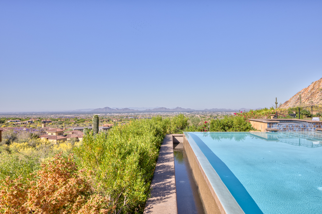 Silverleaf