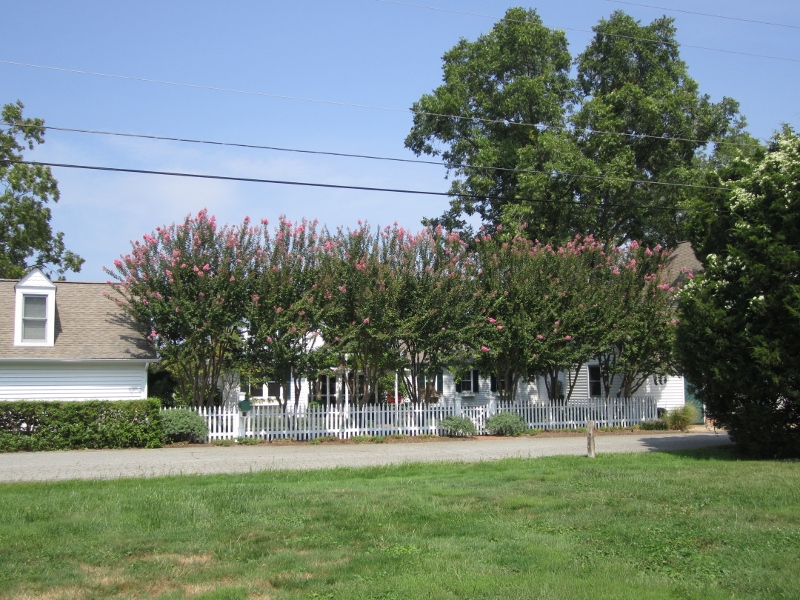 101 East St