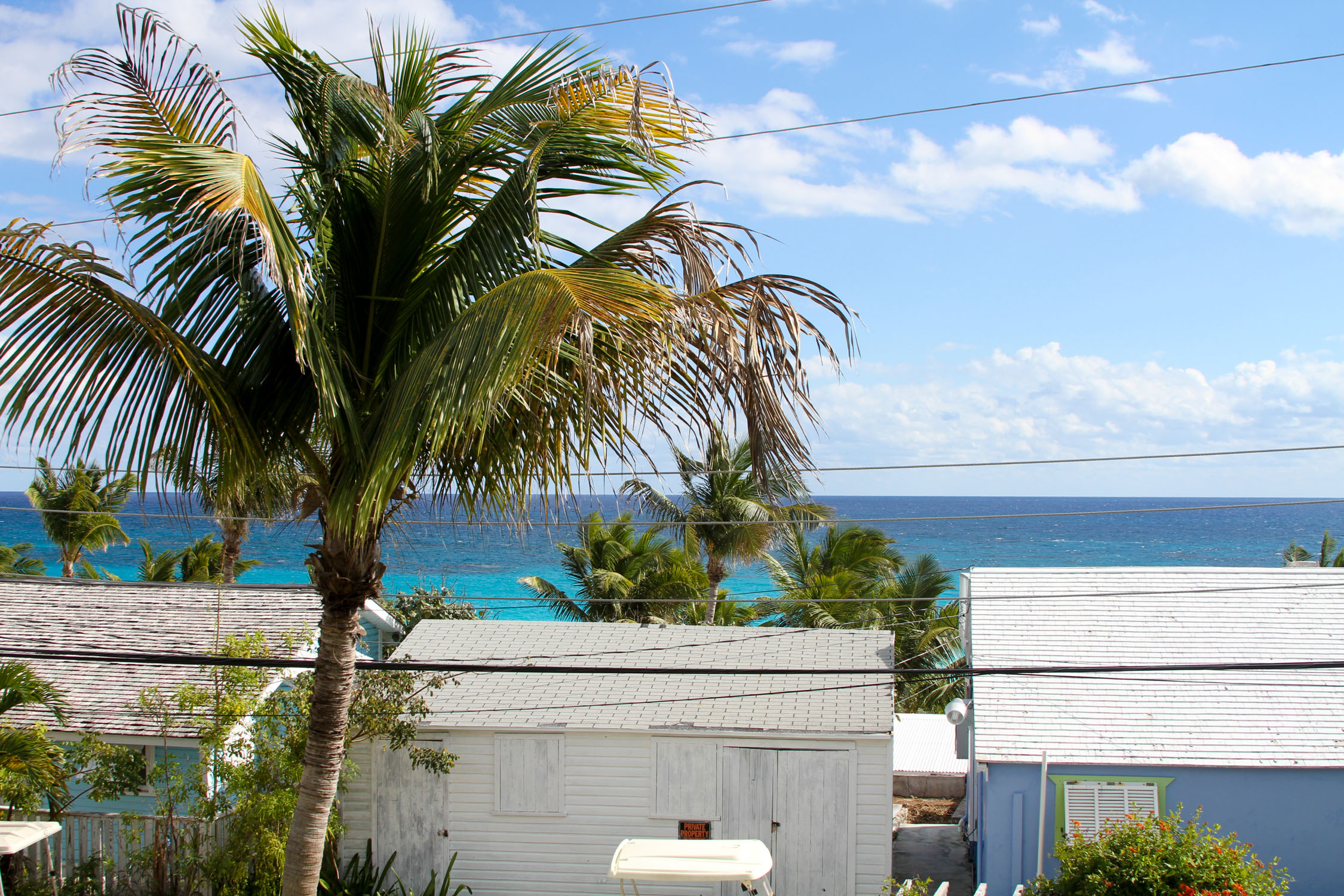 COCONUTS