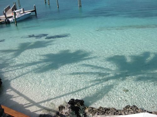 PALM GROVE AND PALM BAY