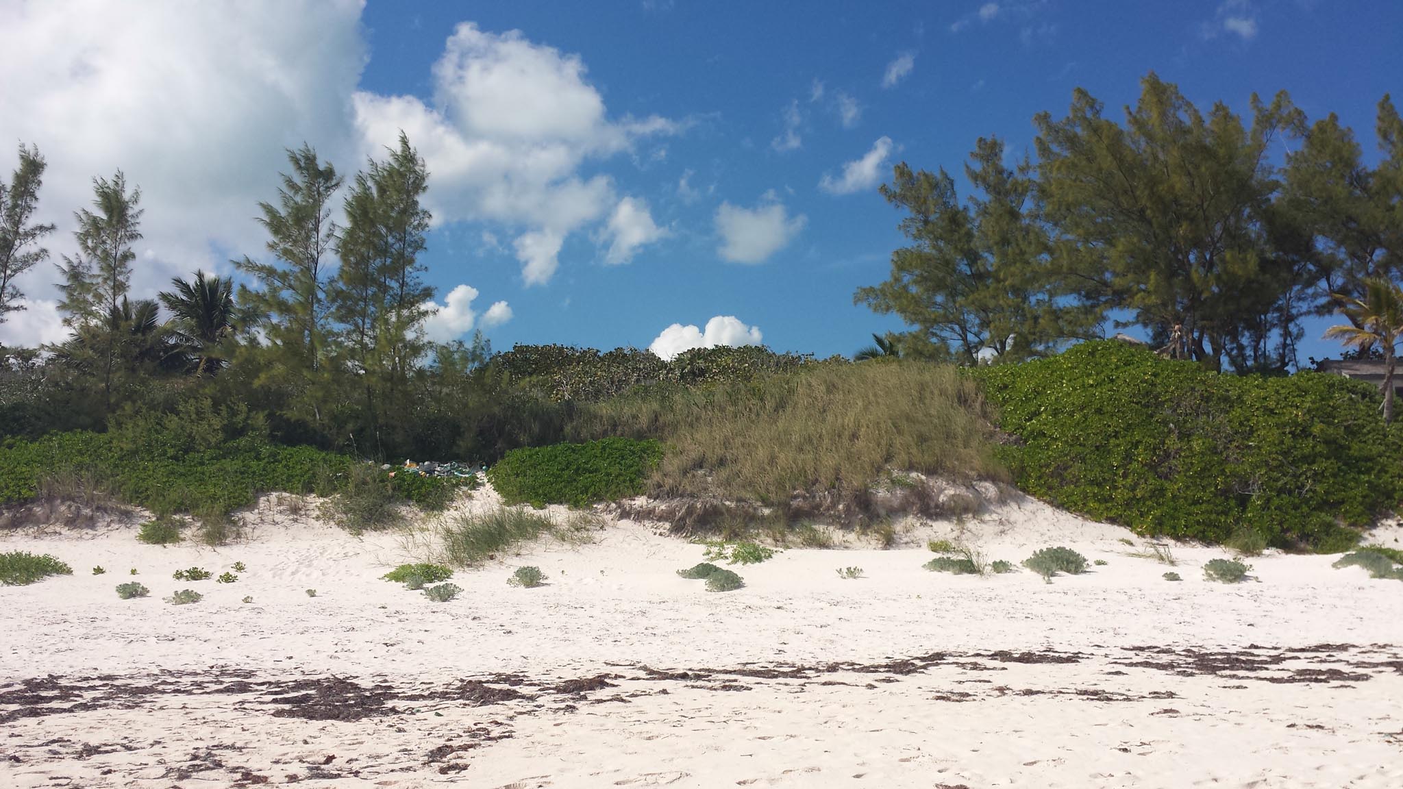 Beach Lot 29