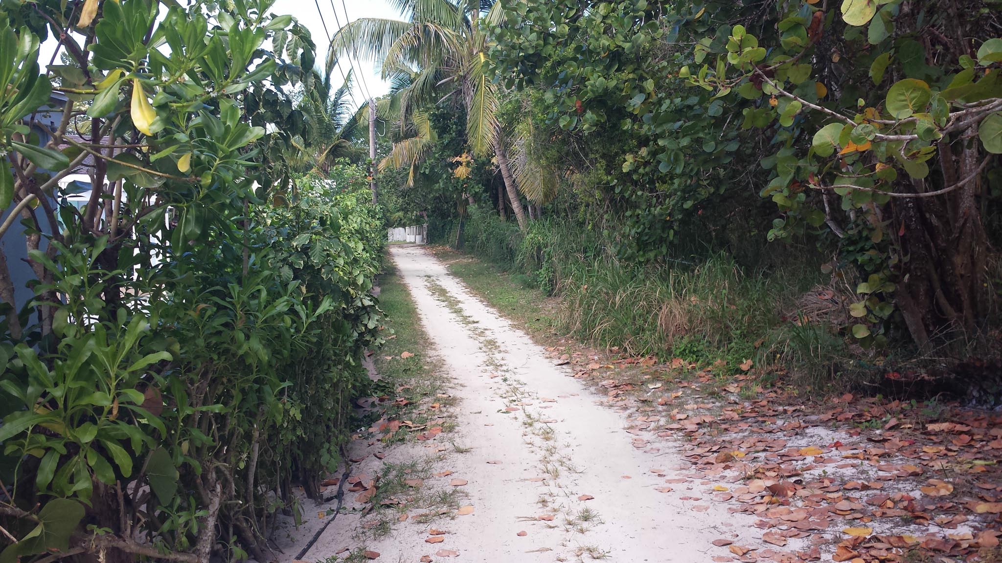 Beach Lot 29