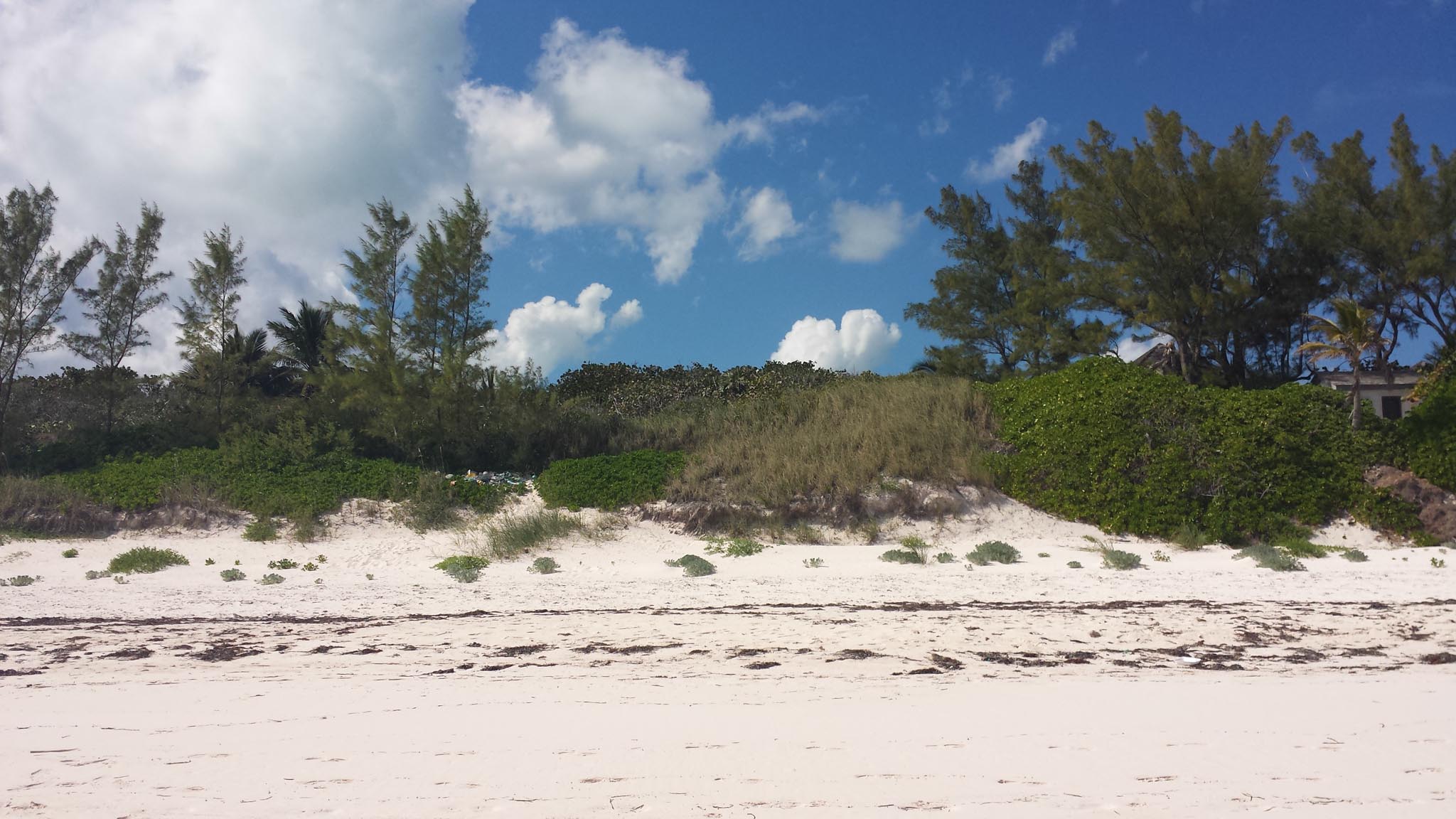 Beach Lot 29