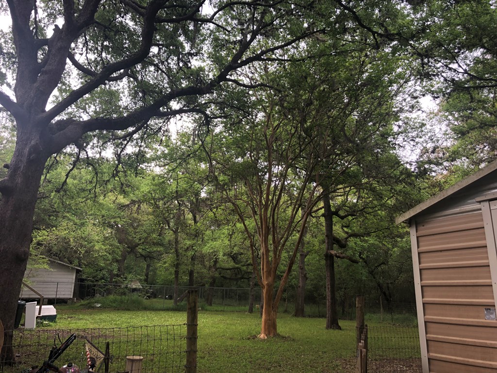 Single Family Residential for sale in Blessing, Texas, 30862C1554301876217