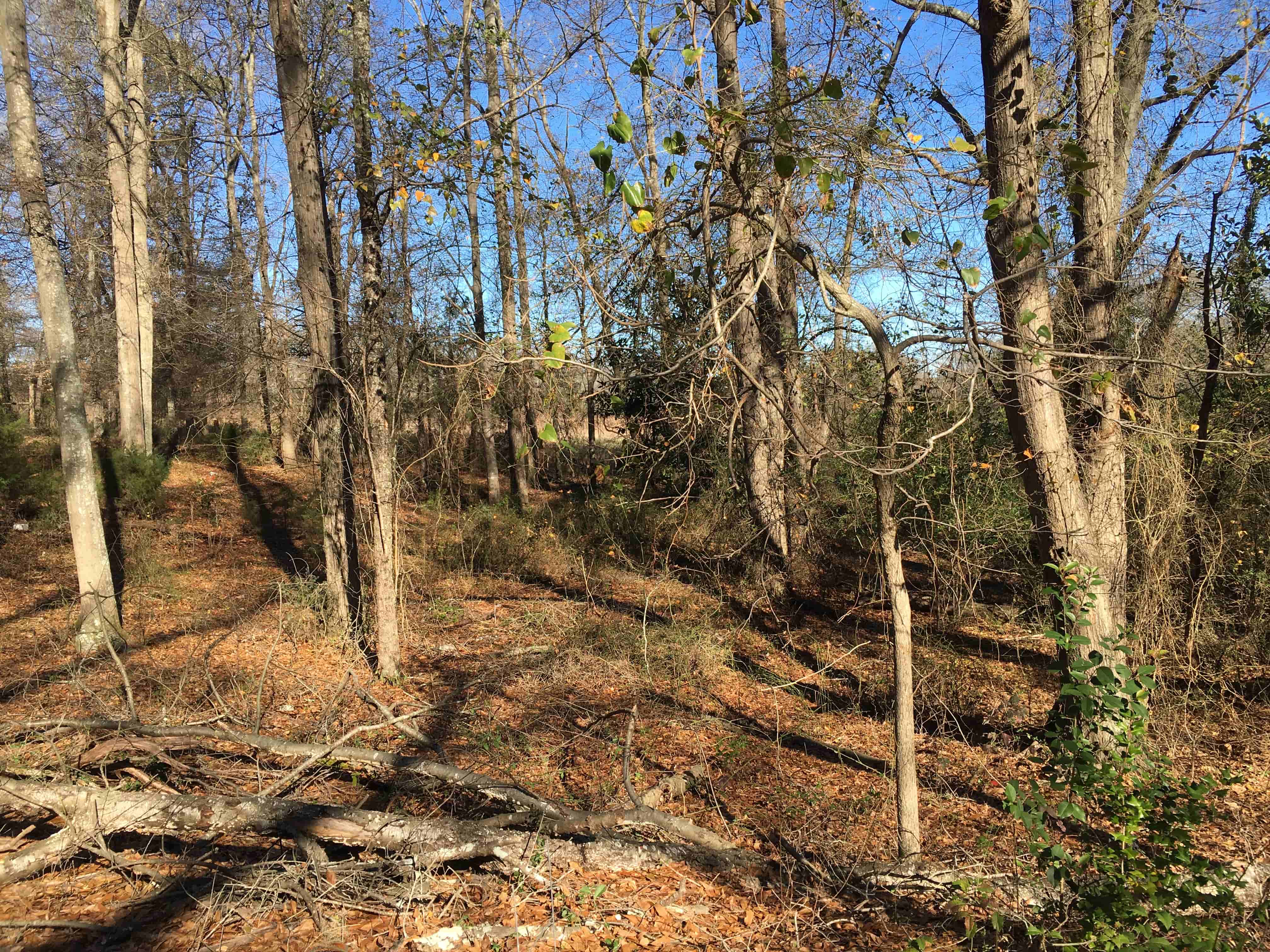 Featured Listings Charles H Knight Llc Real Estate