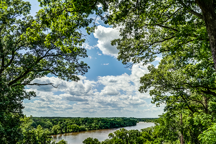 1234 Rothesay Circle