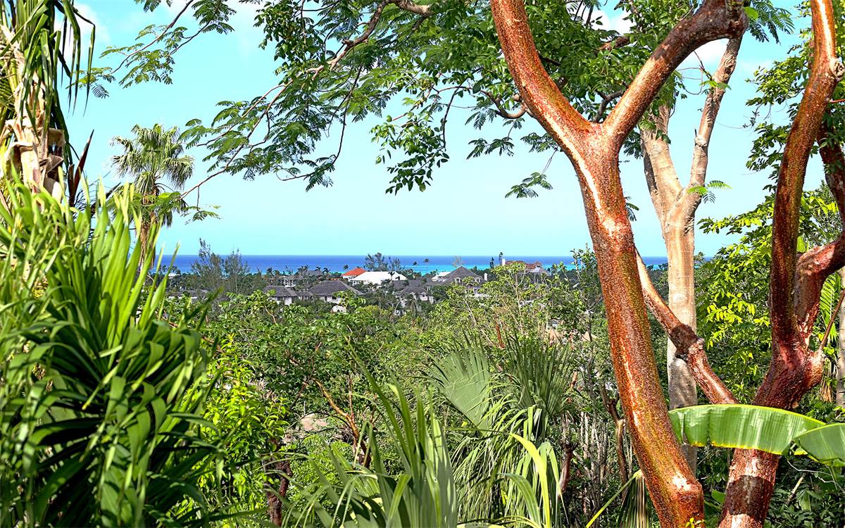 Lyford Cay Tree Tops