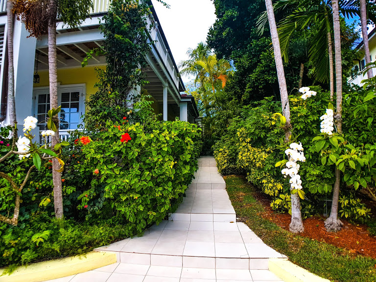 Lyford Cay Tree Tops