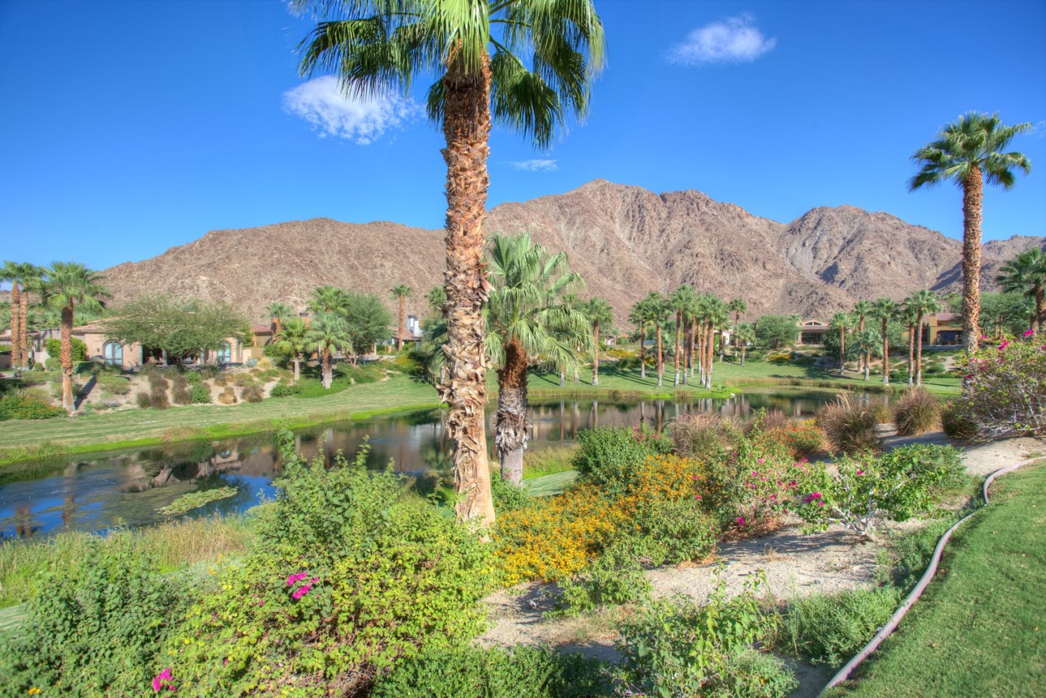 52868  Claret Cove