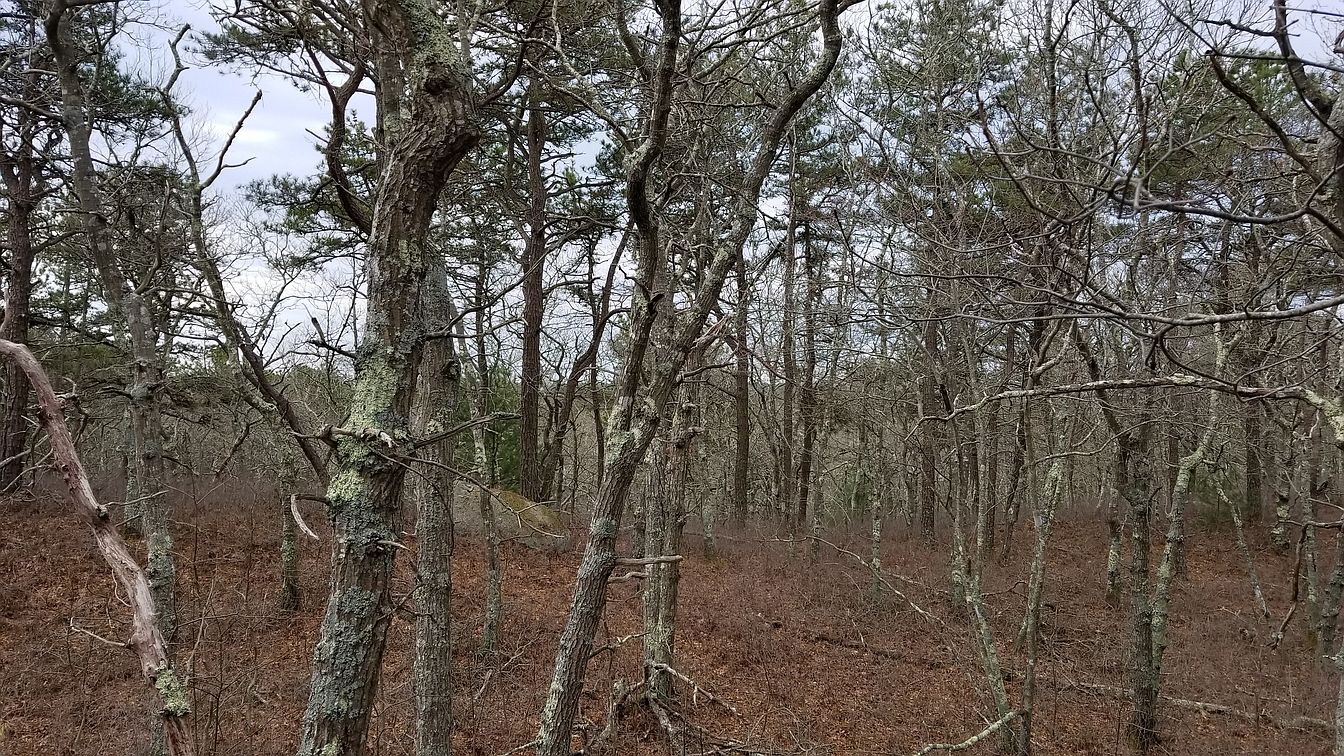 123 Cairn Ridge