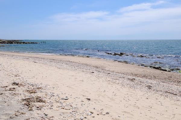 55 Davis Neck Rd