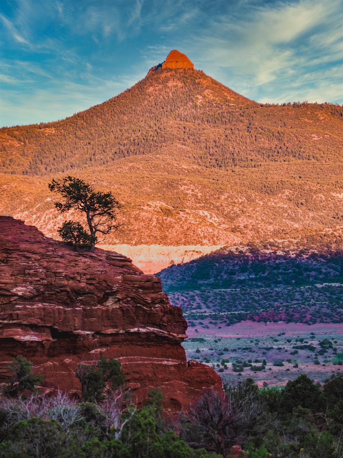 Apache Mesa Ranch