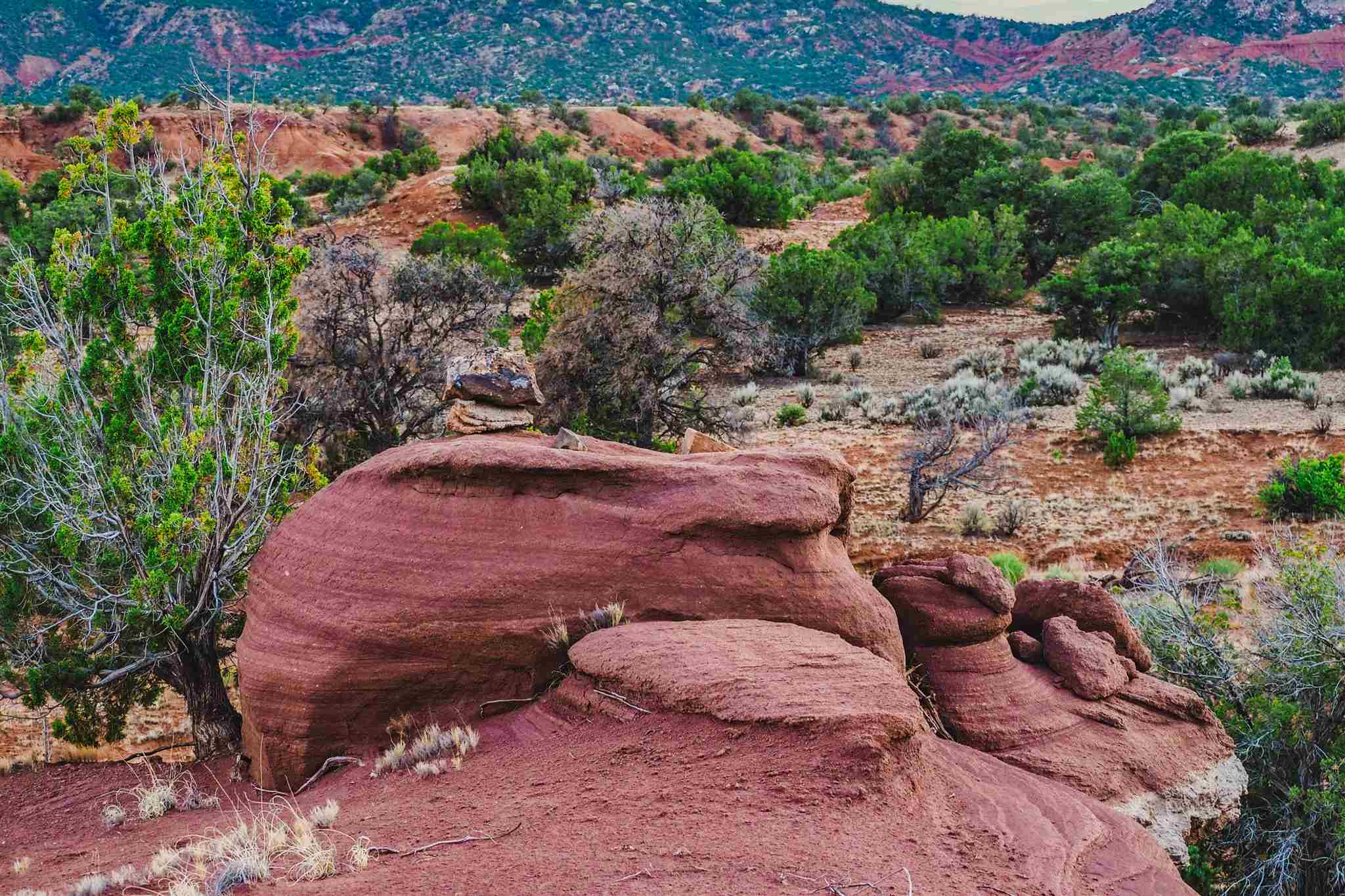 Apache Mesa Ranch