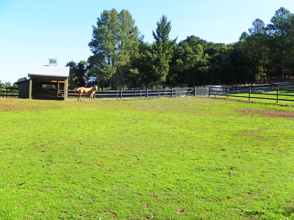 3303 Mountain Home Ranch Road