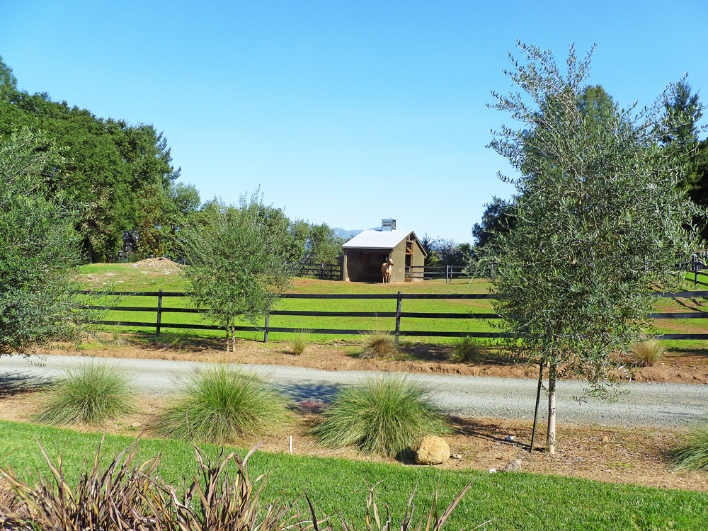 3303 Mountain Home Ranch Road