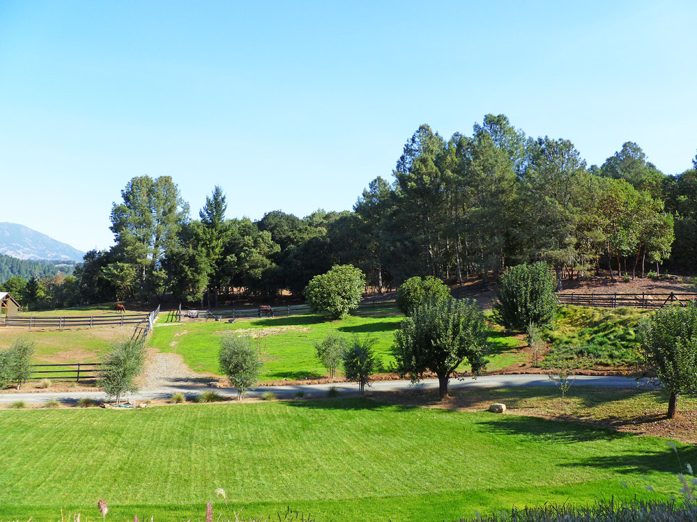 3303 Mountain Home Ranch Road