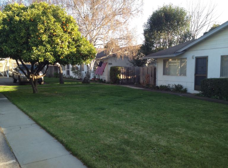 517 Thompson Avenue