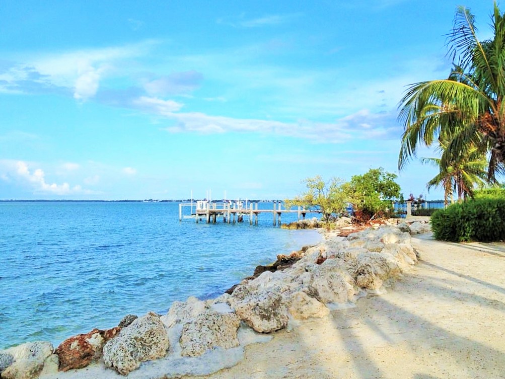 Lot 5 Coury Drive
