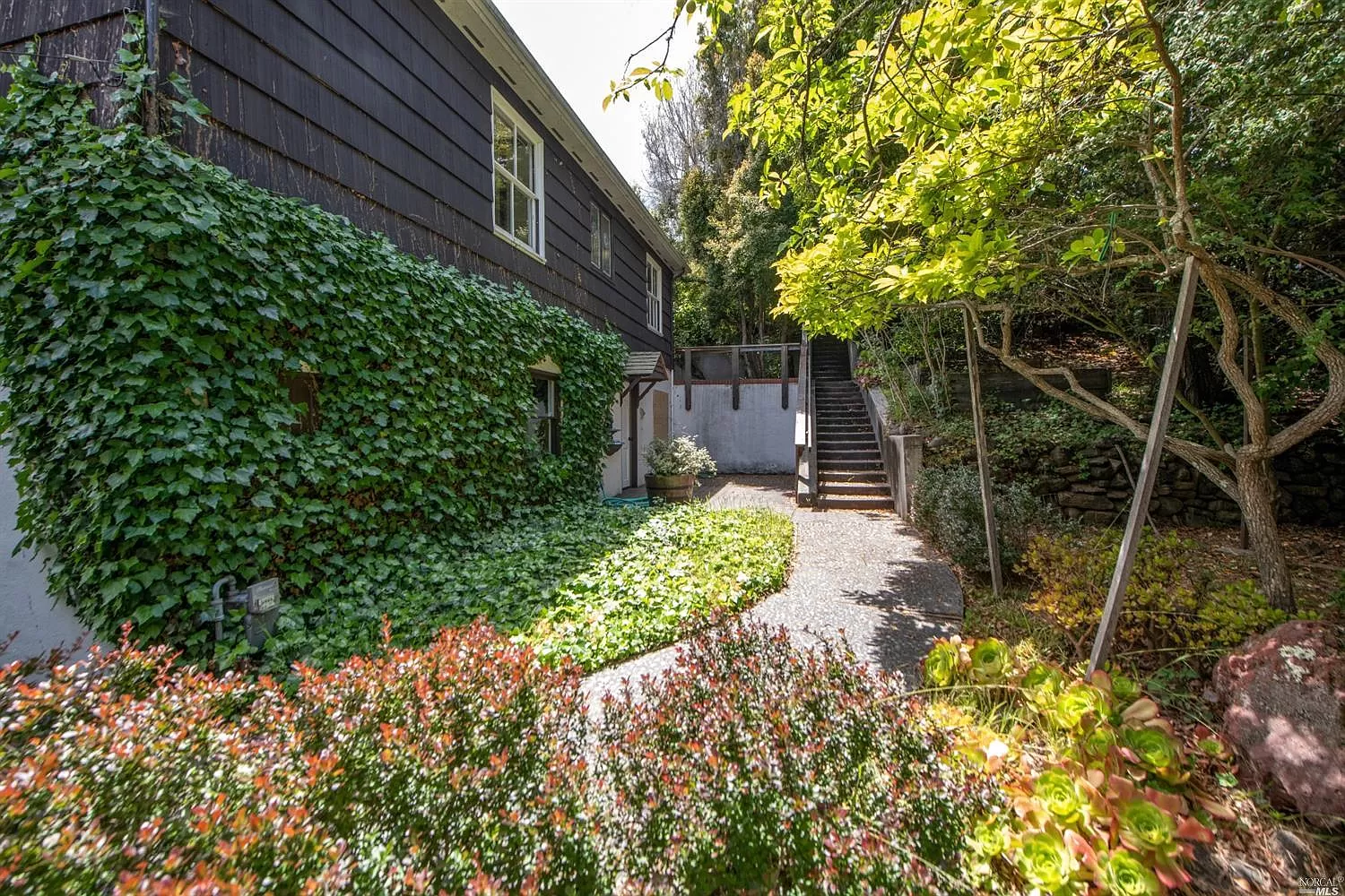 153  Richardson Dr