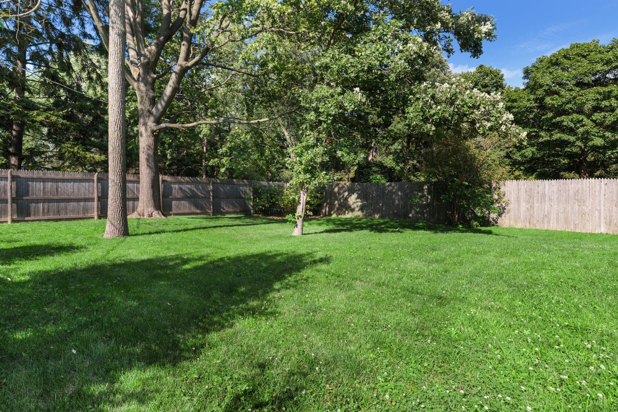348  Scott Street