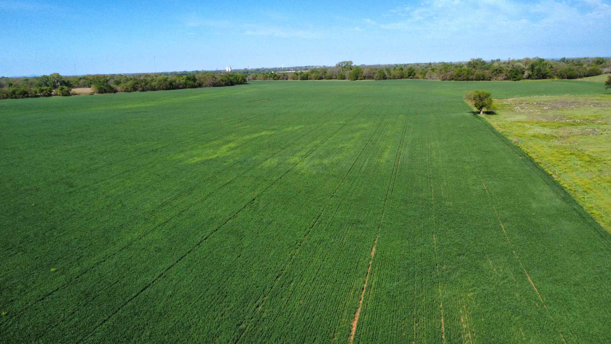 <html>
<body>

<p><strong>WASHITA COUNTY OKLAHOMA LAND FOR SALE</strong></p>
<p><strong>$40,000 Earnest Money per tract</strong></p>
<p><strong> 240 +/- Acres of Mountain View Dryland For Sale</strong></p>

<p><a href="https://hammauction.com/wp-content/uploads/2025/04/Fobes-OK-Land-Map.pdf">Map</a></p>
<p><a href="https://hammauction.com/wp-content/uploads/2025/04/Fobes-OK-Soils-Map.pdf">Soils Map</a></p>


<iframe loading='lazy' frameBorder='0' height='520px' width='100%'
    src='https://id.land/maps/04bce8fa119c047267cf3a5ed8760dfd/embed'></iframe>

</html>

<p>Tract 1 - Legal Description:     Lots 1, 2, 7, 8, 9, 10, 11 in 6-7-14, 199.59+/- Acres less 5.6 acres in Lot 10, Washita Co, OK </p>

<p>Tract 2 - Legal Description:     SW4 SE4 of 31-8-14,  40+/- Acres, Washita Co, OK </p>
 </p>
<p>This awesome tract of land has over 1.25 +/- Miles of Washita River line on the south side of the property.  It also included the connection where the Rainy Mountain Creek connects to the Washita River!  This land has rich soils, trees, some acres of native grass with a 2 barns, pens and blacktop access.  If you've ever dreamed of owning farm land with river access, this is your chance.  Don't hesitate as this won't last long.</p>

<p>Minerals:  The Sellers don't own much of the minerals, so no Minerals pass to the Buyer(s).  Surface and Wind only.</p>

<p>Located: From Mountain View, OK, take Highway 115 one mile north to E1310 Rd.  Take E1310 Rd east for 1.5 miles.  The 40 Acres is on the north and the 200 acres is on the south.</p>

</body>
</html>
